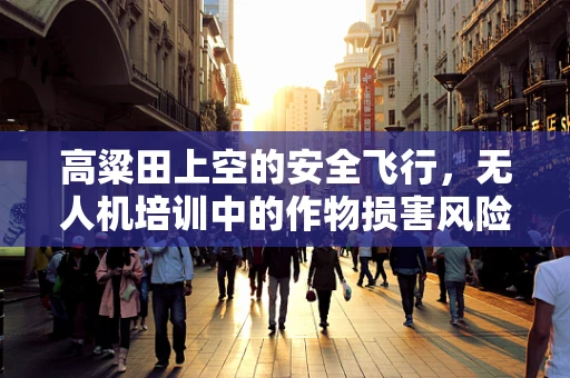 高粱田上空的安全飞行，无人机培训中的作物损害风险控制？