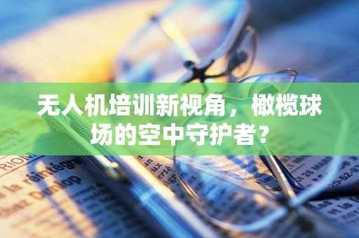 无人机培训新视角，橄榄球场的空中守护者？