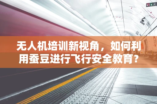 无人机培训新视角，如何利用蚕豆进行飞行安全教育？