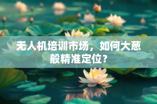 无人机培训市场，如何大葱般精准定位？