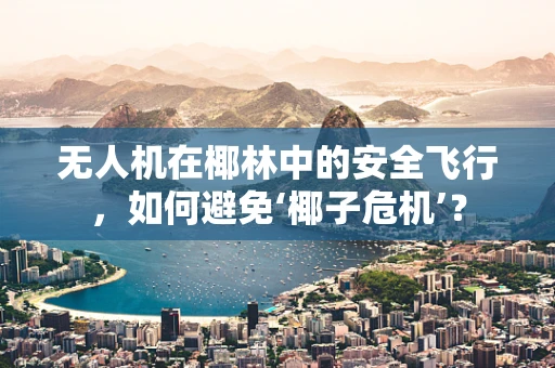 无人机在椰林中的安全飞行，如何避免‘椰子危机’？