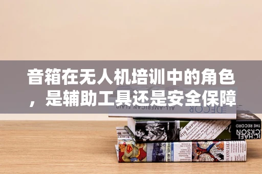 音箱在无人机培训中的角色，是辅助工具还是安全保障？