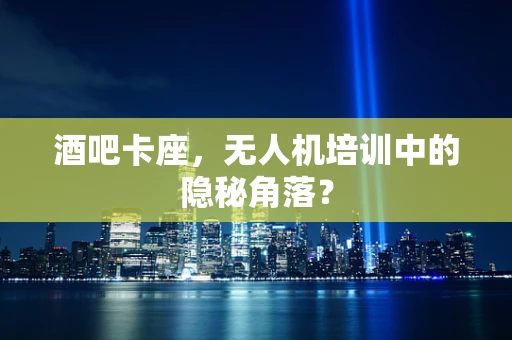 酒吧卡座，无人机培训中的隐秘角落？