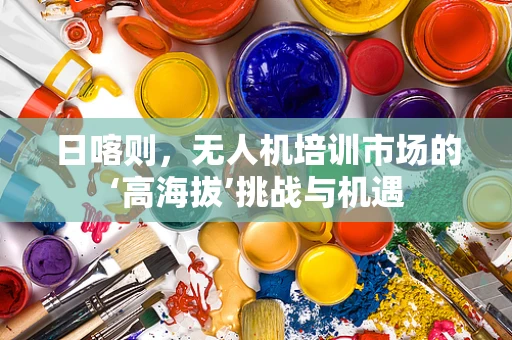 日喀则，无人机培训市场的‘高海拔’挑战与机遇