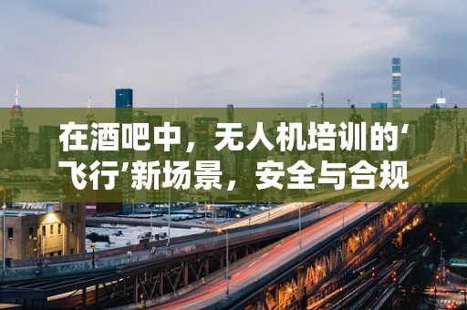 在酒吧中，无人机培训的‘飞行’新场景，安全与合规的挑战？