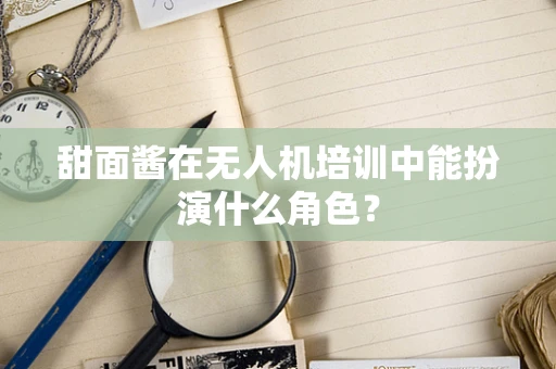 甜面酱在无人机培训中能扮演什么角色？