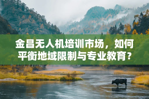 金昌无人机培训市场，如何平衡地域限制与专业教育？