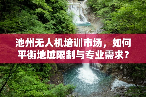 池州无人机培训市场，如何平衡地域限制与专业需求？