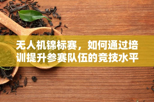 无人机锦标赛，如何通过培训提升参赛队伍的竞技水平？