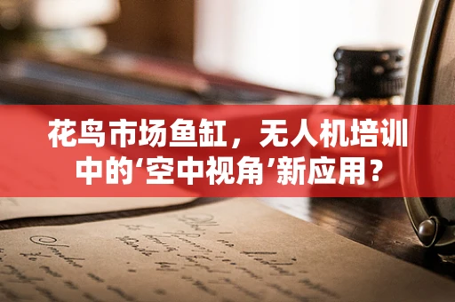 花鸟市场鱼缸，无人机培训中的‘空中视角’新应用？