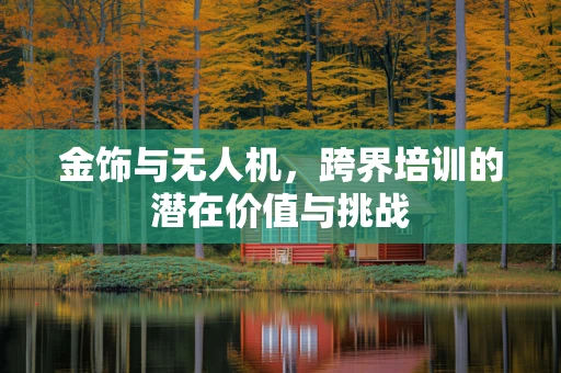 金饰与无人机，跨界培训的潜在价值与挑战