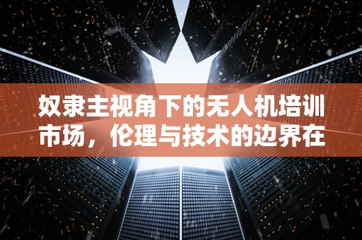 奴隶主视角下的无人机培训市场，伦理与技术的边界在哪里？