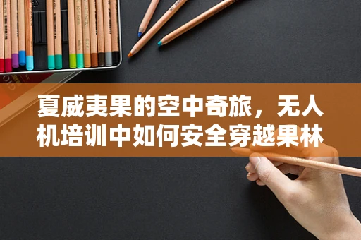 夏威夷果的空中奇旅，无人机培训中如何安全穿越果林？