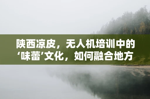 陕西凉皮，无人机培训中的‘味蕾’文化，如何融合地方特色与专业教学？