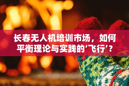长春无人机培训市场，如何平衡理论与实践的‘飞行’？
