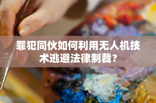 罪犯同伙如何利用无人机技术逃避法律制裁？
