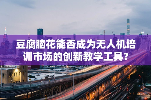 豆腐脑花能否成为无人机培训市场的创新教学工具？