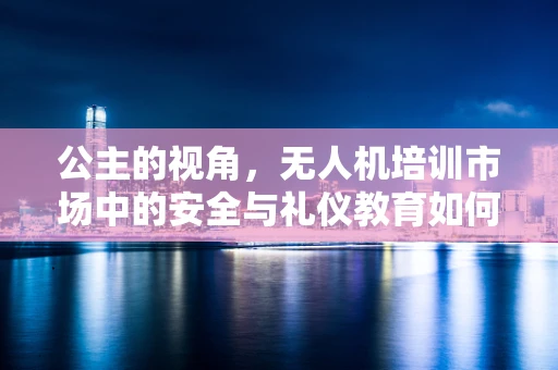 公主的视角，无人机培训市场中的安全与礼仪教育如何融入趣味？