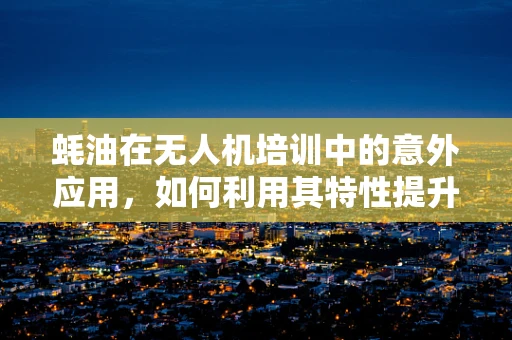 蚝油在无人机培训中的意外应用，如何利用其特性提升飞行安全？