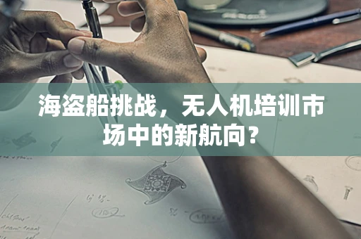 海盗船挑战，无人机培训市场中的新航向？