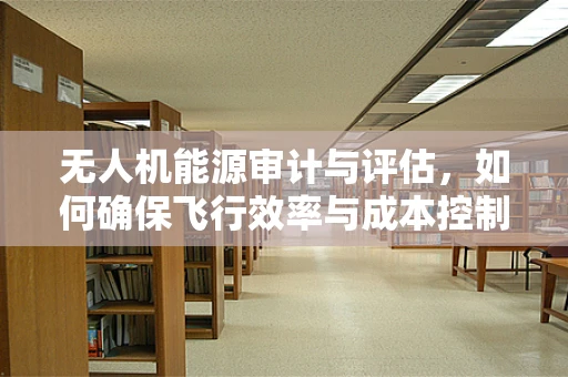 无人机能源审计与评估，如何确保飞行效率与成本控制？