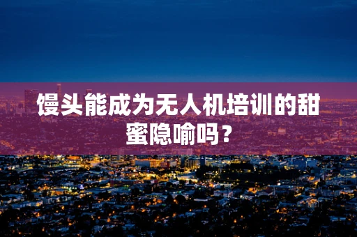 馒头能成为无人机培训的甜蜜隐喻吗？