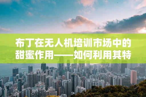 布丁在无人机培训市场中的甜蜜作用——如何利用其特性提升学习体验？
