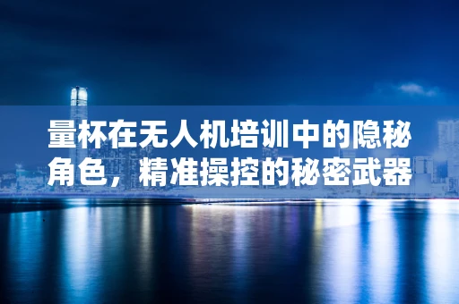 量杯在无人机培训中的隐秘角色，精准操控的秘密武器？