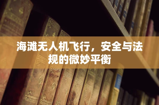 海滩无人机飞行，安全与法规的微妙平衡