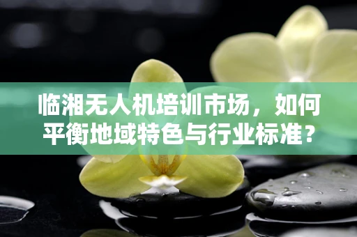 临湘无人机培训市场，如何平衡地域特色与行业标准？