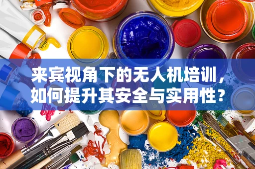 来宾视角下的无人机培训，如何提升其安全与实用性？
