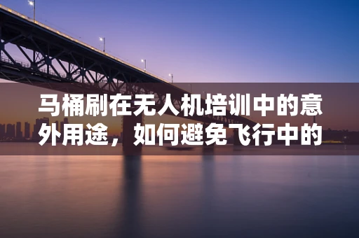 马桶刷在无人机培训中的意外用途，如何避免飞行中的尴尬？
