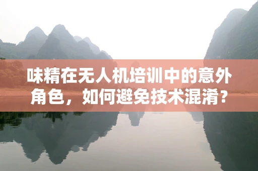 味精在无人机培训中的意外角色，如何避免技术混淆？