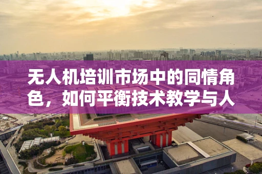 无人机培训市场中的同情角色，如何平衡技术教学与人文关怀？