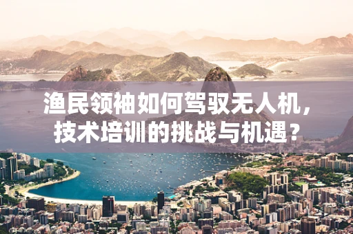 渔民领袖如何驾驭无人机，技术培训的挑战与机遇？
