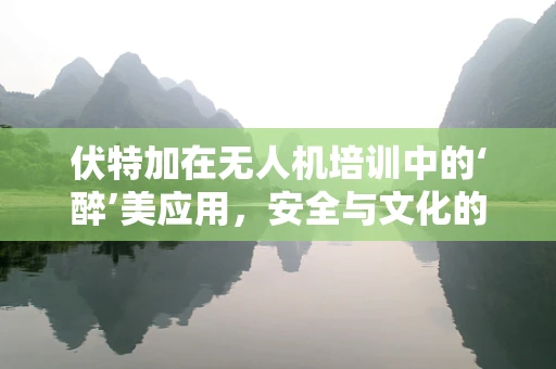 伏特加在无人机培训中的‘醉’美应用，安全与文化的双重考量？