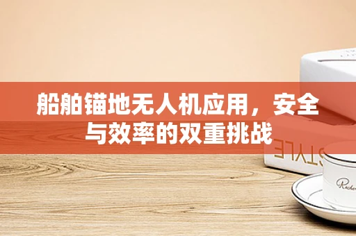 船舶锚地无人机应用，安全与效率的双重挑战
