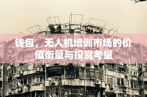钱包，无人机培训市场的价值衡量与投资考量