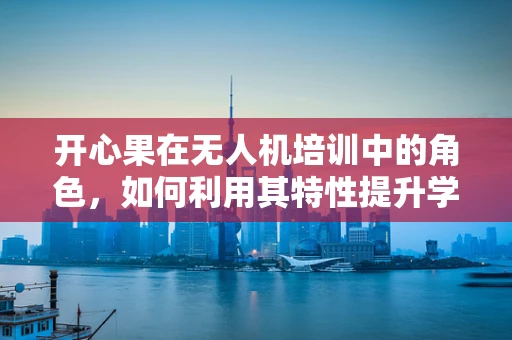 开心果在无人机培训中的角色，如何利用其特性提升学习乐趣？