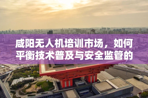 咸阳无人机培训市场，如何平衡技术普及与安全监管的双重挑战？