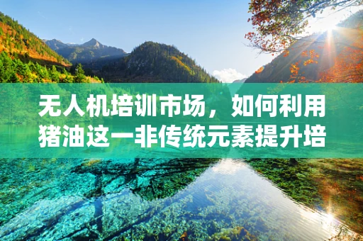 无人机培训市场，如何利用猪油这一非传统元素提升培训效果？