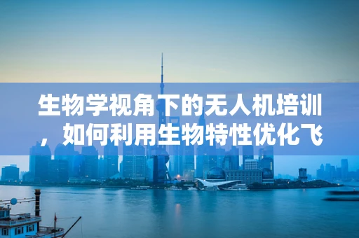 生物学视角下的无人机培训，如何利用生物特性优化飞行路径？
