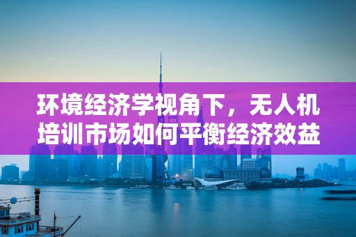 环境经济学视角下，无人机培训市场如何平衡经济效益与生态保护？