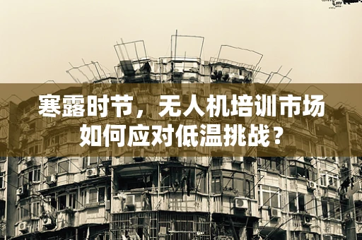 寒露时节，无人机培训市场如何应对低温挑战？