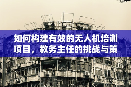 如何构建有效的无人机培训项目，教务主任的挑战与策略