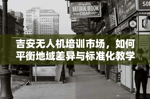 吉安无人机培训市场，如何平衡地域差异与标准化教学？