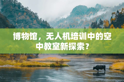 博物馆，无人机培训中的空中教室新探索？