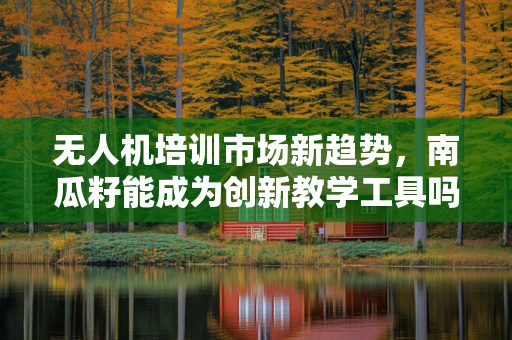 无人机培训市场新趋势，南瓜籽能成为创新教学工具吗？