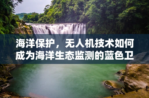 海洋保护，无人机技术如何成为海洋生态监测的蓝色卫士？