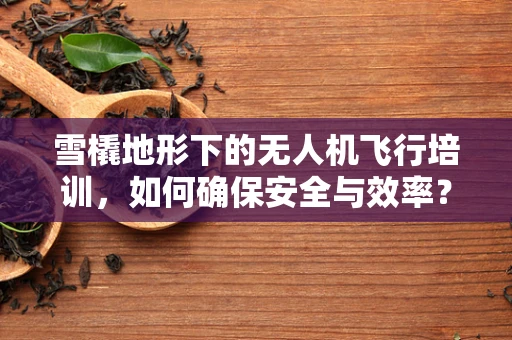 雪橇地形下的无人机飞行培训，如何确保安全与效率？